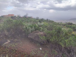 Terreno en venta en Arafo