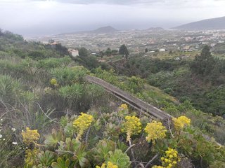Terreno en venta en Arafo