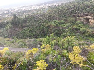 Terreno en venta en Arafo