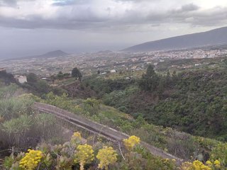 Terreno en venta en Arafo