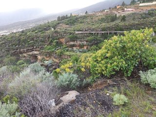 Terreno en venta en Arafo