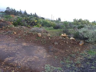 Terreno en venta en Arafo