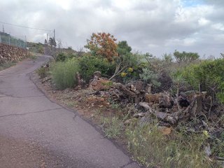 Terreno en venta en Arafo
