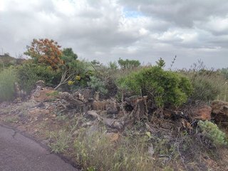 Terreno en venta en Arafo