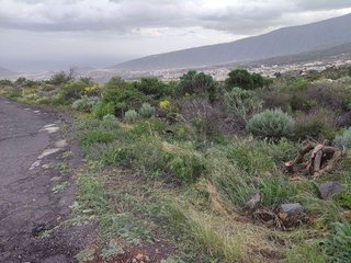 Terreno en venta en Arafo