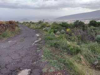 Terreno en venta en Arafo