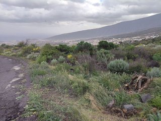 Terreno en venta en Arafo