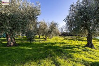 Chalet en venta en Otura