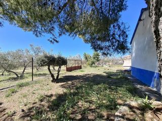 Terreno en venta en Daimiel
