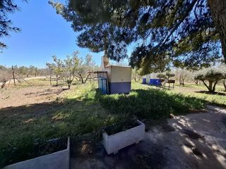 Terreno en venta en Daimiel