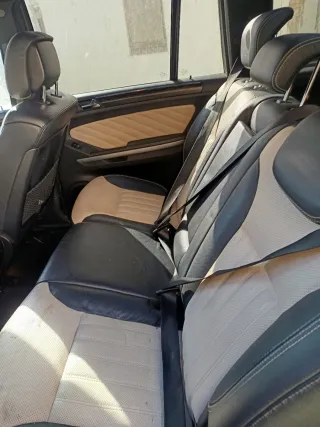 Mercedes-Benz  GL 2010