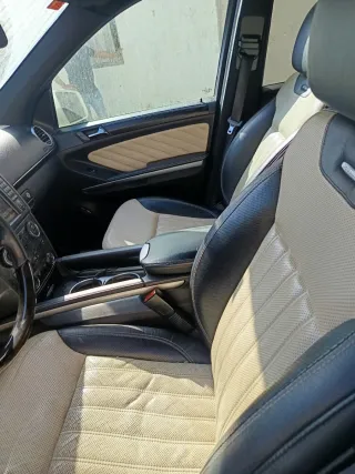 Mercedes-Benz  GL 2010
