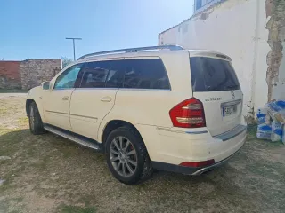Mercedes-Benz  GL 2010
