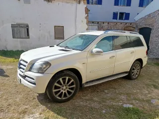 Mercedes-Benz  GL 2010
