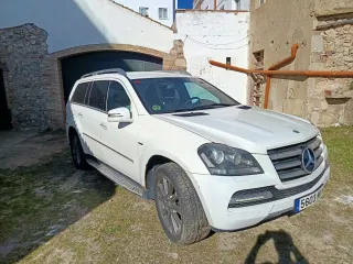 Mercedes-Benz  GL 2010