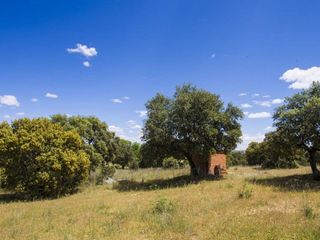 Casa rural en venta en El Pinar - La Dehesa - Resto de Navalcarnero en Navalcarnero