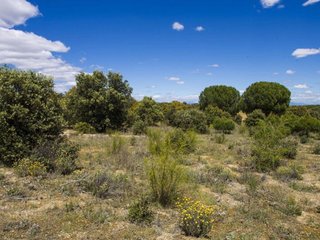 Casa rural en venta en El Pinar - La Dehesa - Resto de Navalcarnero en Navalcarnero