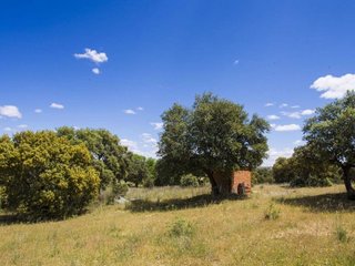 Masía en venta en El Pinar - La Dehesa - Resto de Navalcarnero en Navalcarnero
