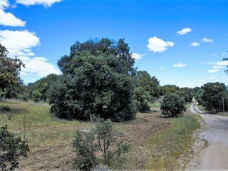 Masía en venta en El Pinar - La Dehesa - Resto de Navalcarnero en Navalcarnero