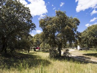 Masía en venta en El Pinar - La Dehesa - Resto de Navalcarnero en Navalcarnero