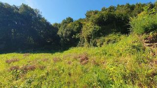 Solar en venta en Muros