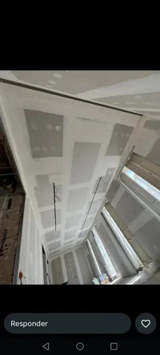 Alisador de Pladur pintor oficial