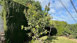 Ático en venta en Torreblanca del Sol en Fuengirola