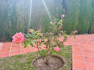 Ático en venta en Torreblanca del Sol en Fuengirola