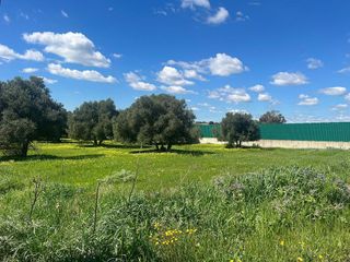 Terreno en venta en Aljaraque