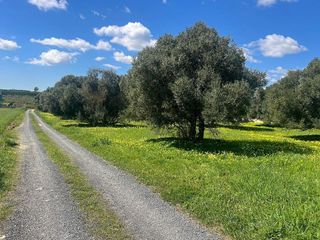 Terreno en venta en Aljaraque