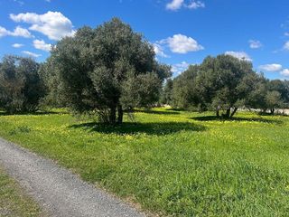 Terreno en venta en Aljaraque