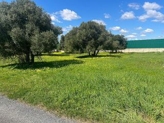 Terreno en venta en Aljaraque