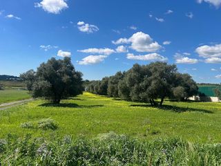 Terreno en venta en Aljaraque
