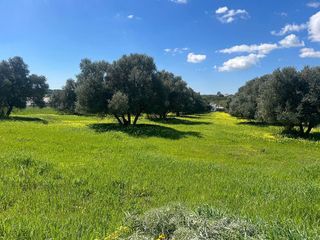 Terreno en venta en Aljaraque