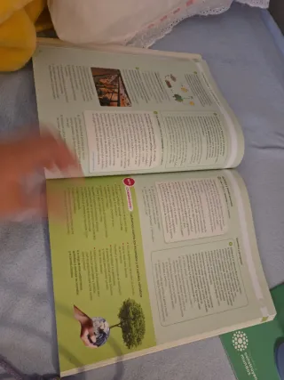FISICA Y QUIMICA SERIE APLICAMOS 3 ESO CONSTRUY...