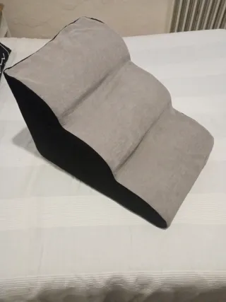 Rampa escalera para perros.