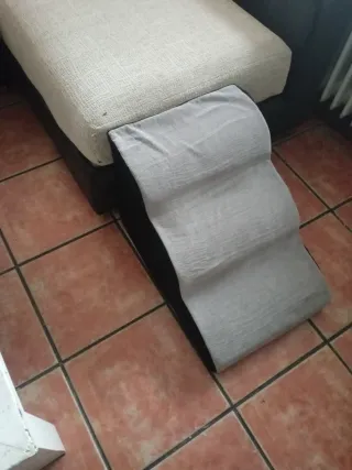 Rampa escalera para perros.