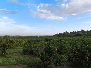 Terreno en venta en Cheste