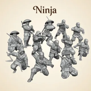 Set Ninja Miniature