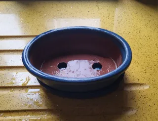 Maceta y plato para bonsáis