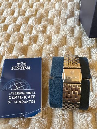 Orologio Festina Uomo Blu e Argento