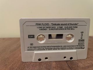 Pink Floyd Delicate Sound Of Thunder 2 MC