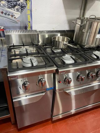 Cocina profesional 2 fuegos