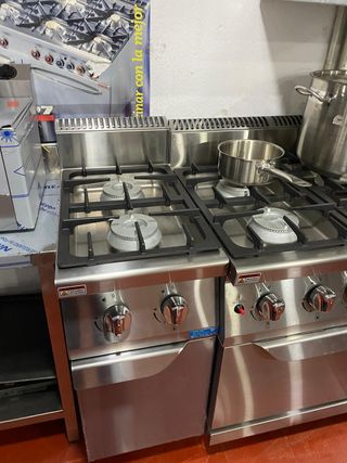 Cocina profesional 2 fuegos