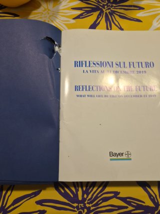 Libro riflessioni sul futuro