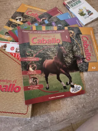 Colección revistas mi amigo el caballo
