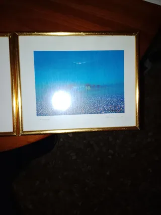 Set di 3 quadri decorativi