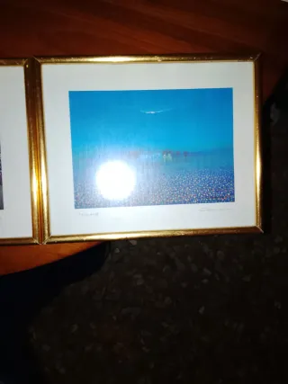 Set di 3 quadri decorativi