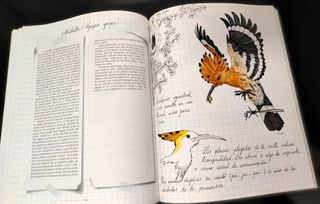 Cuaderno Campo Castilla y León Extremadura 1996