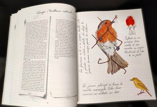 Cuaderno Campo Castilla y León Extremadura 1996